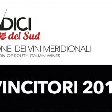 Radici del Sud 2015: i vincitori