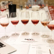 I VINI VINCITORI DELLA XIX EDIZIONE DI RADICI DEL SUD 2024